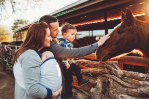 The Schlosser family greets one of the horses at Tanque Verde Guest Ranch during their family photo session