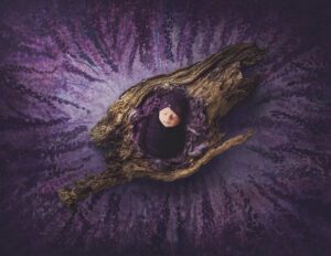 surrounded by purple this newborn girl is all cozy in a log by Frankfurt newborn photographer
