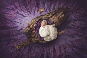 newborn girl in a log surrounded by purple flowers