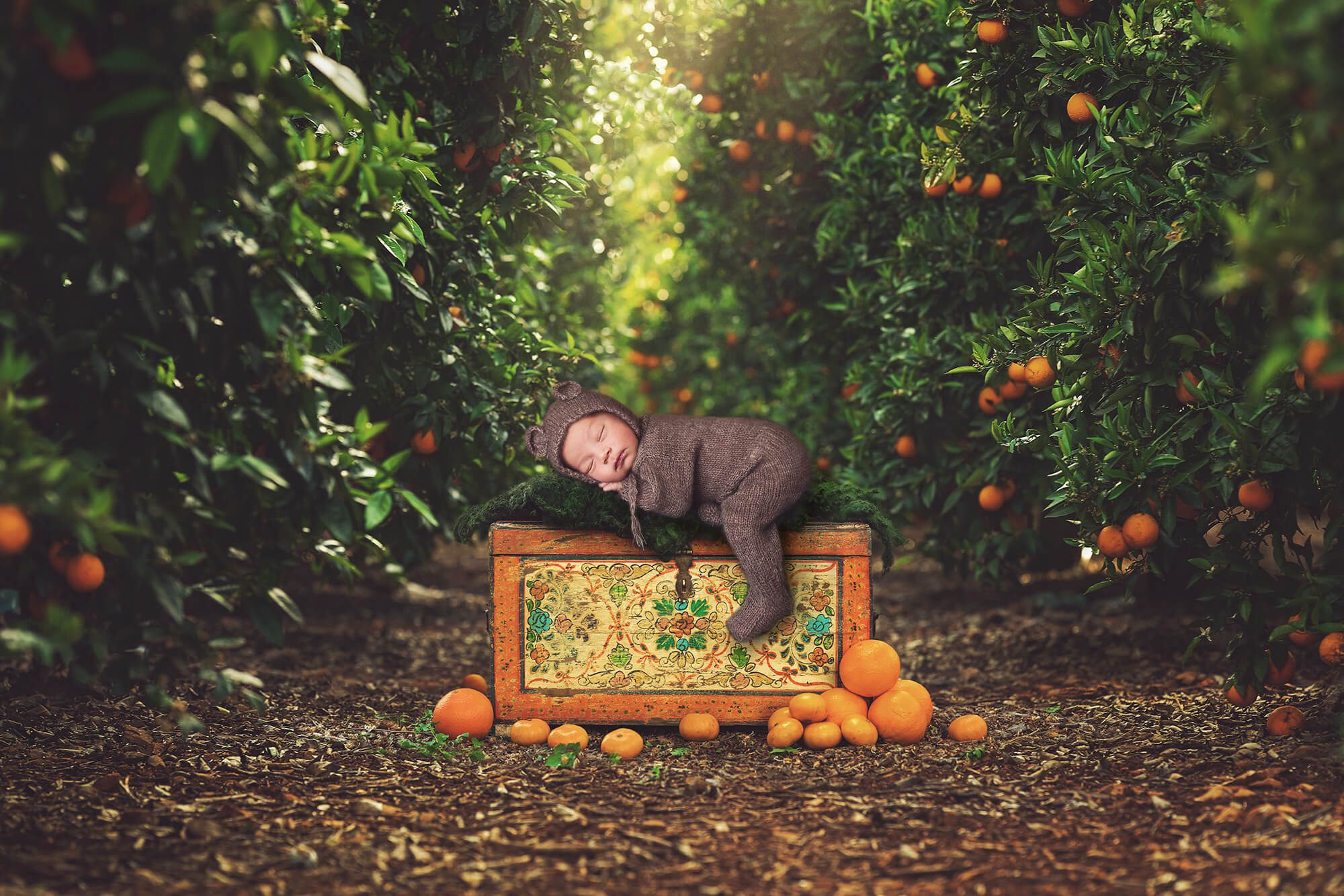 newborn baby dressed like a bear in an orange grove by tucson newborn photographer