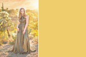 A beautiful young woman looks like a goddess in her golden dress and flowing blond locks during her senior session at Saguaro National Park