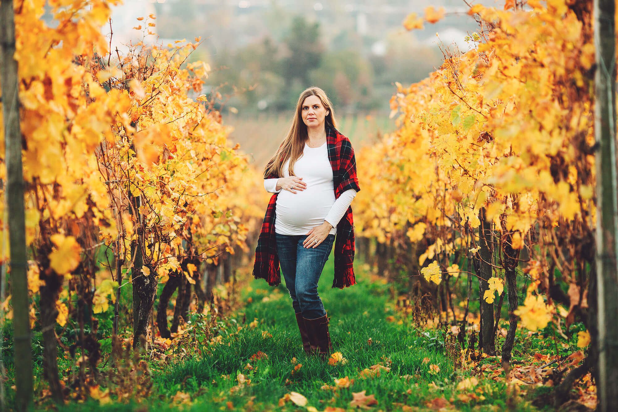 A Hochheim vineyard in all it's fall glory during a maternity session