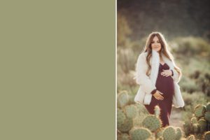 Gorgeous mom-to-be Anica poses amongst the prickly pear and sunlight during her morning maternity session