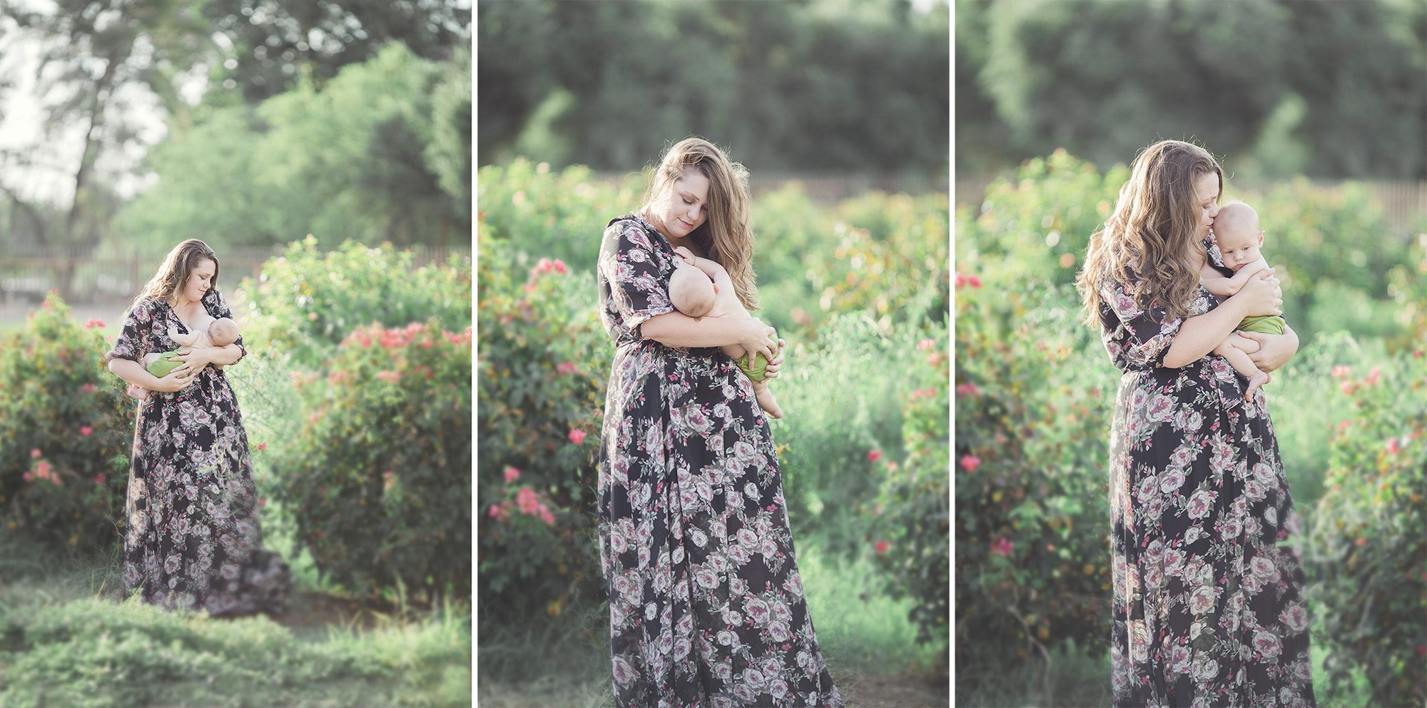 A breastfeeding mom stands amongst the roses feeding and cuddling her son during her breastfeeding session with Tucson's breastfeeding photographer