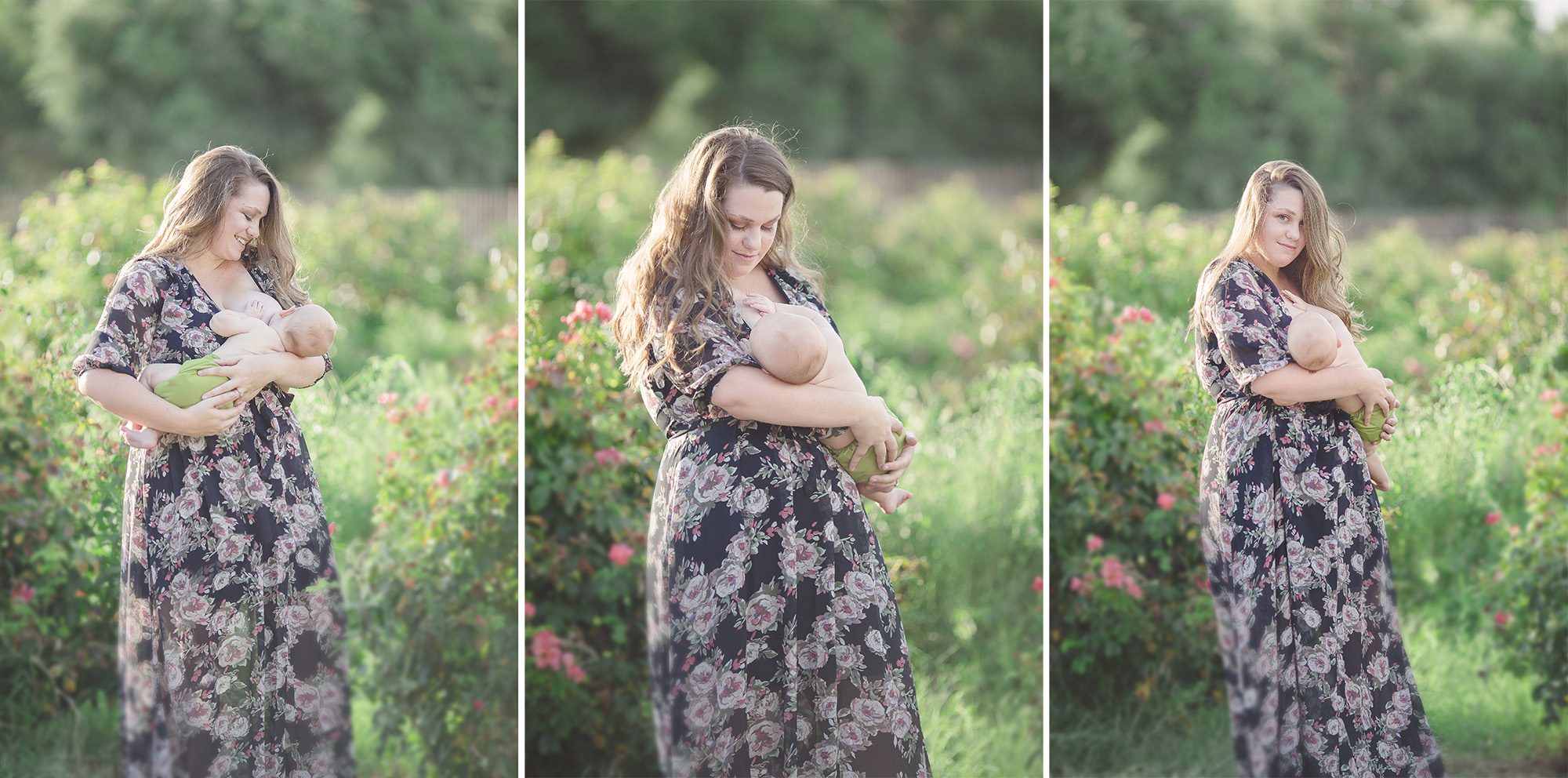 A breastfeeding session with breastfeeding photographer Belle Vie Photography at Tucson's Reid Park rose garden