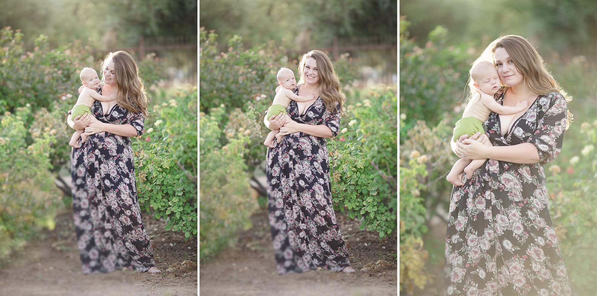 A breastfeeding mom and her son cuddle amongst the rose bushes at Reid Park's rose garden