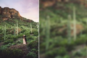 A couple kisses during their engagement session amidst mountain peaks and lush spring foliage at Picacho Peak in Arizona