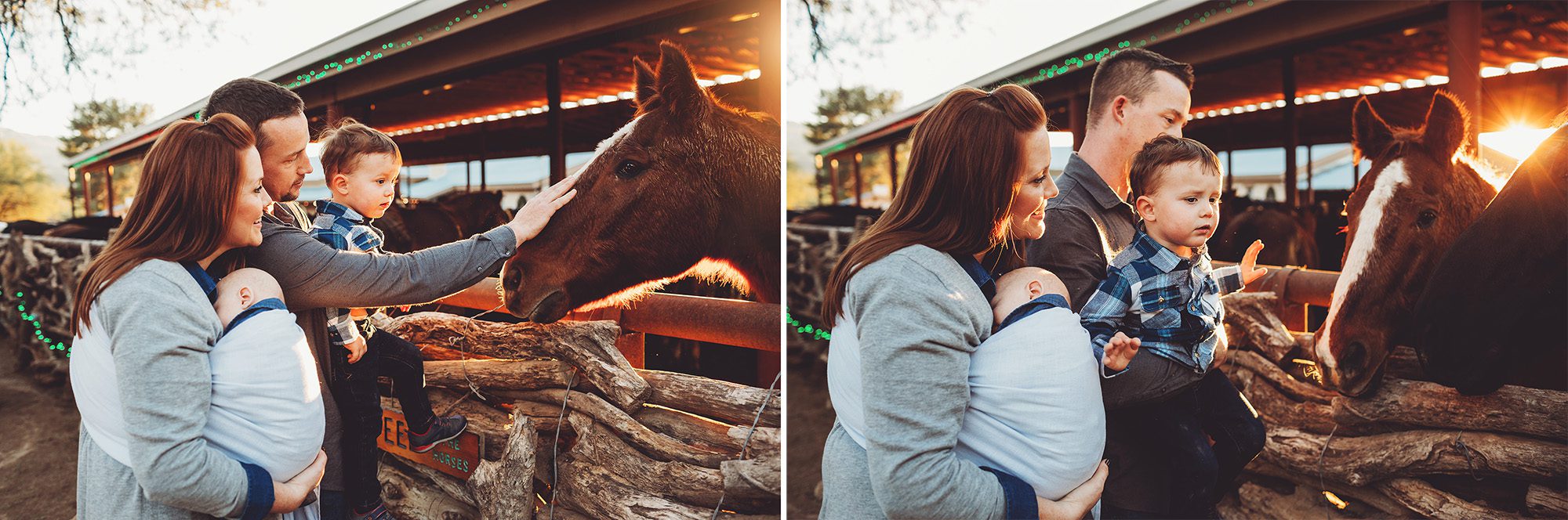 The Schlosser family enjoys an evening interacting with the horses at Tanque Verde Guest Ranch