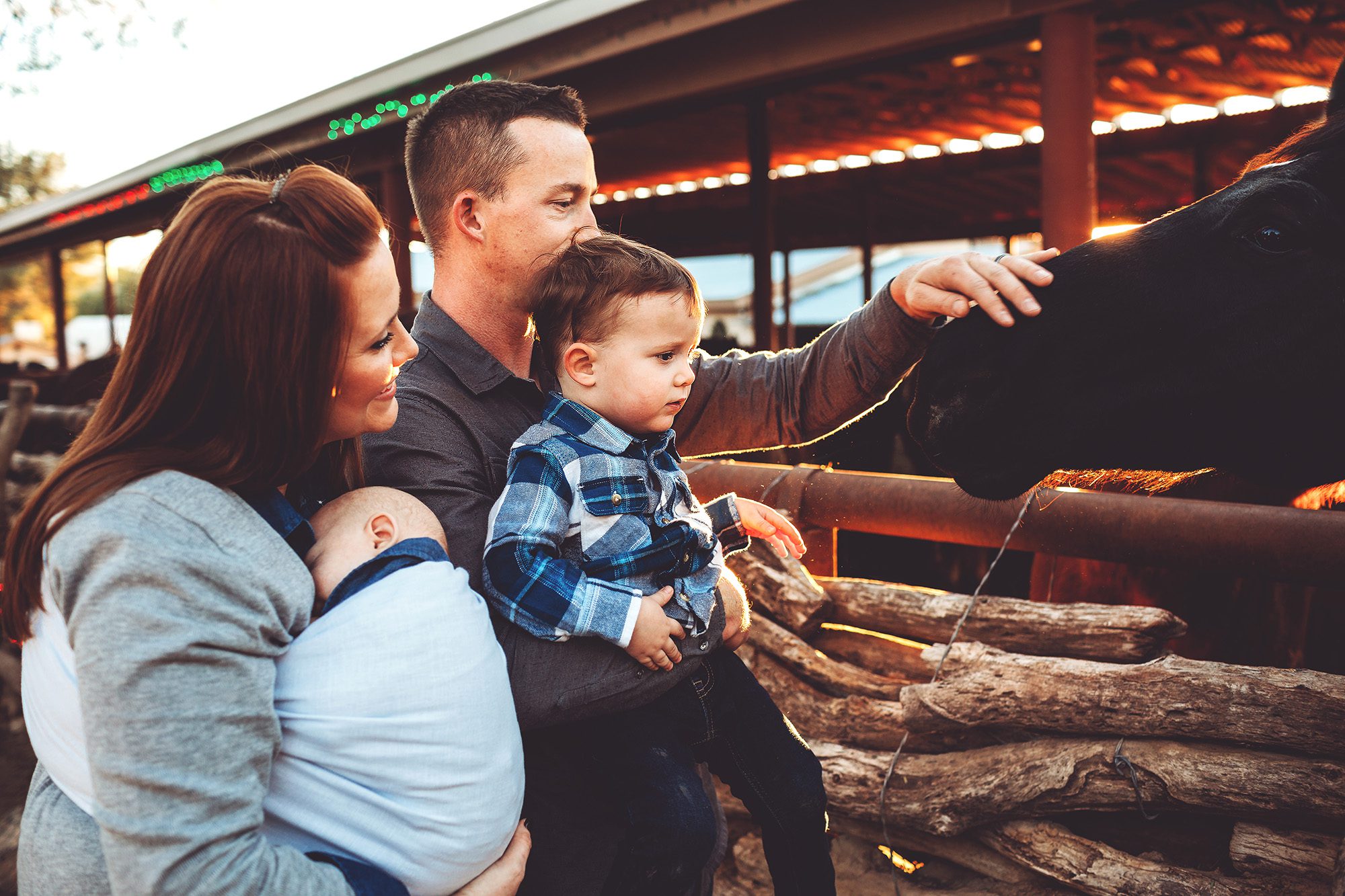 The Schlosser family pets one of the resident horses at Tanque Verde Guest Ranch during their family photo session with Belle Vie Photography