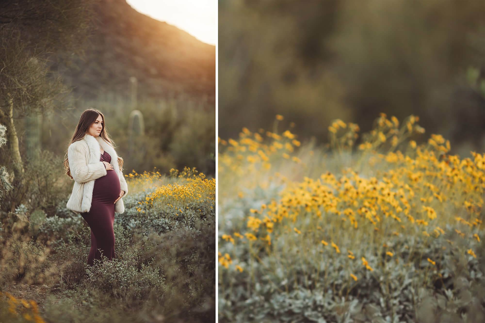Even winter in Arizona yields flowers and we used them during Anica's sunrise maternity session near Tucson