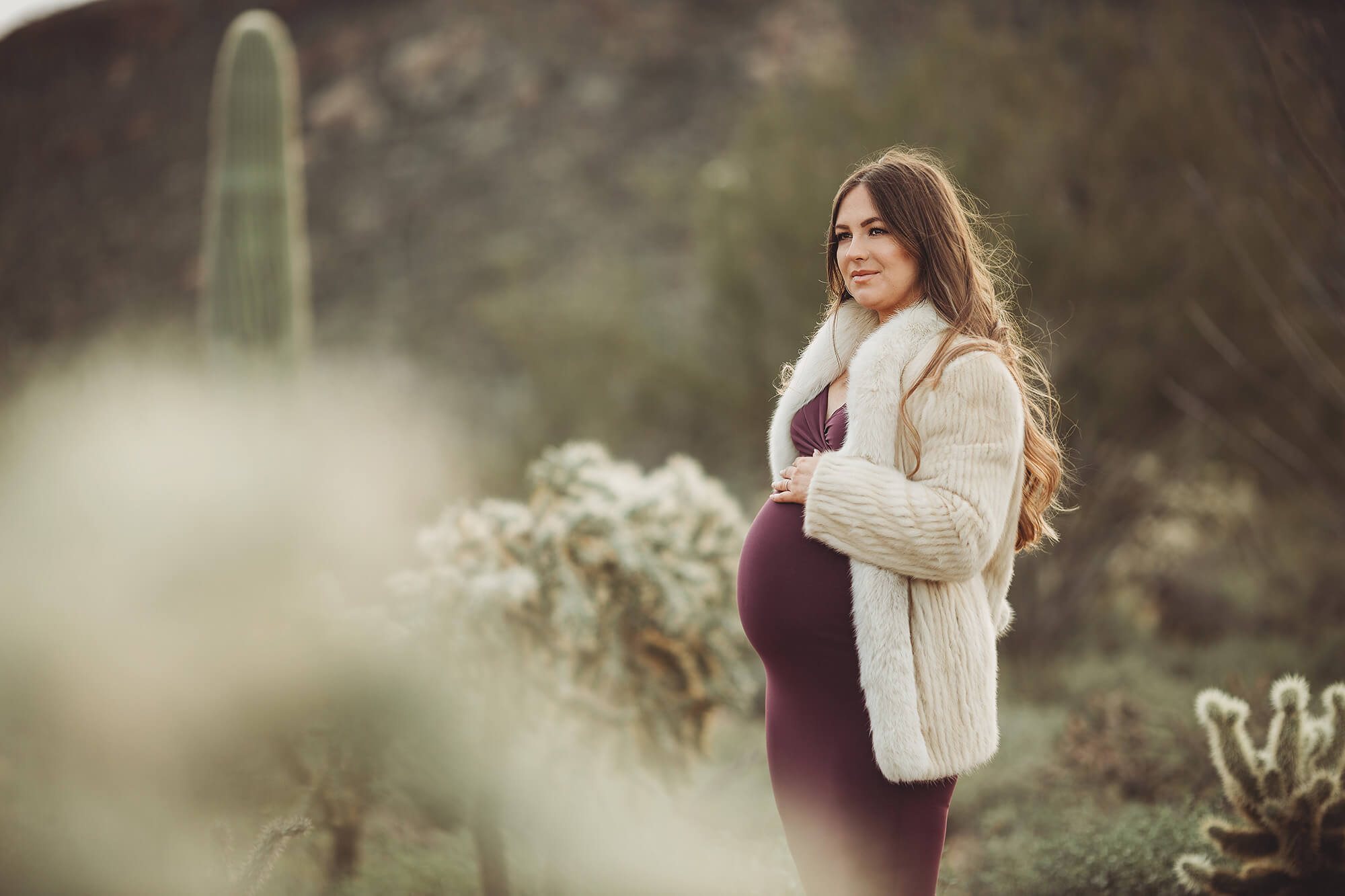 Using the glow of jumping cholla quills to frame Anica during her desert maternity session near Tucson