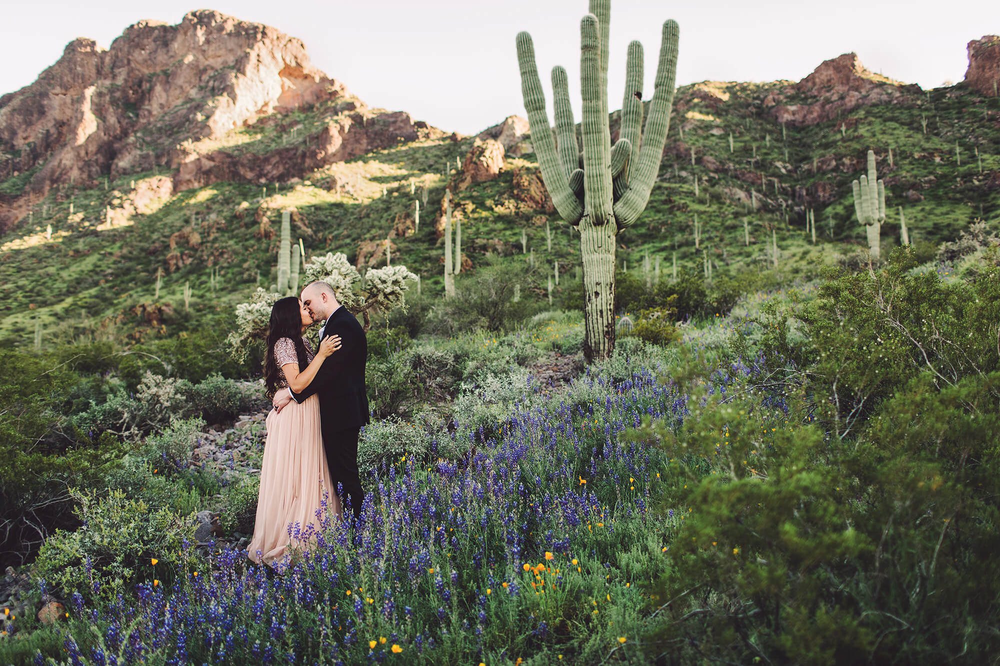 The Paxman's kiss surrounded by wildflowers and Picacho Peak in the background during their wildflower couple's session