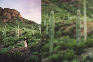 The Paxman's kiss at the base of Picacho Peak surrounded by spring growth