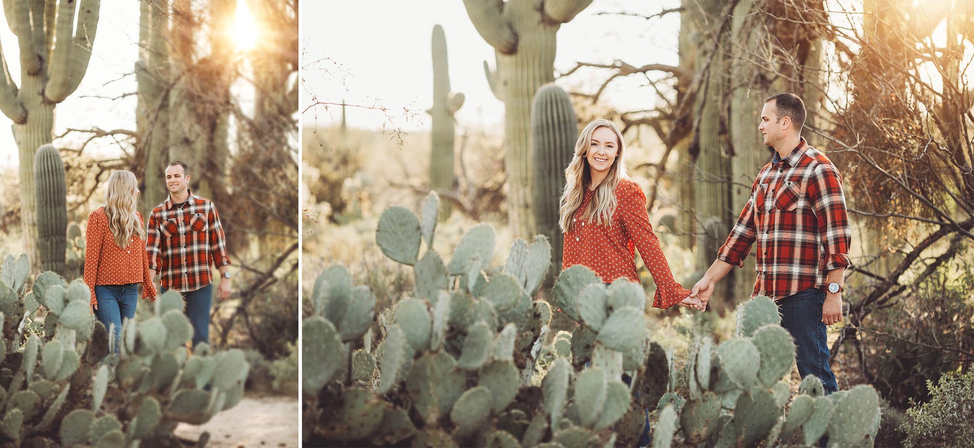 The Freeman's wander amongst the cactus at Sabino Canyon during their couple's session at Sabino Canyon