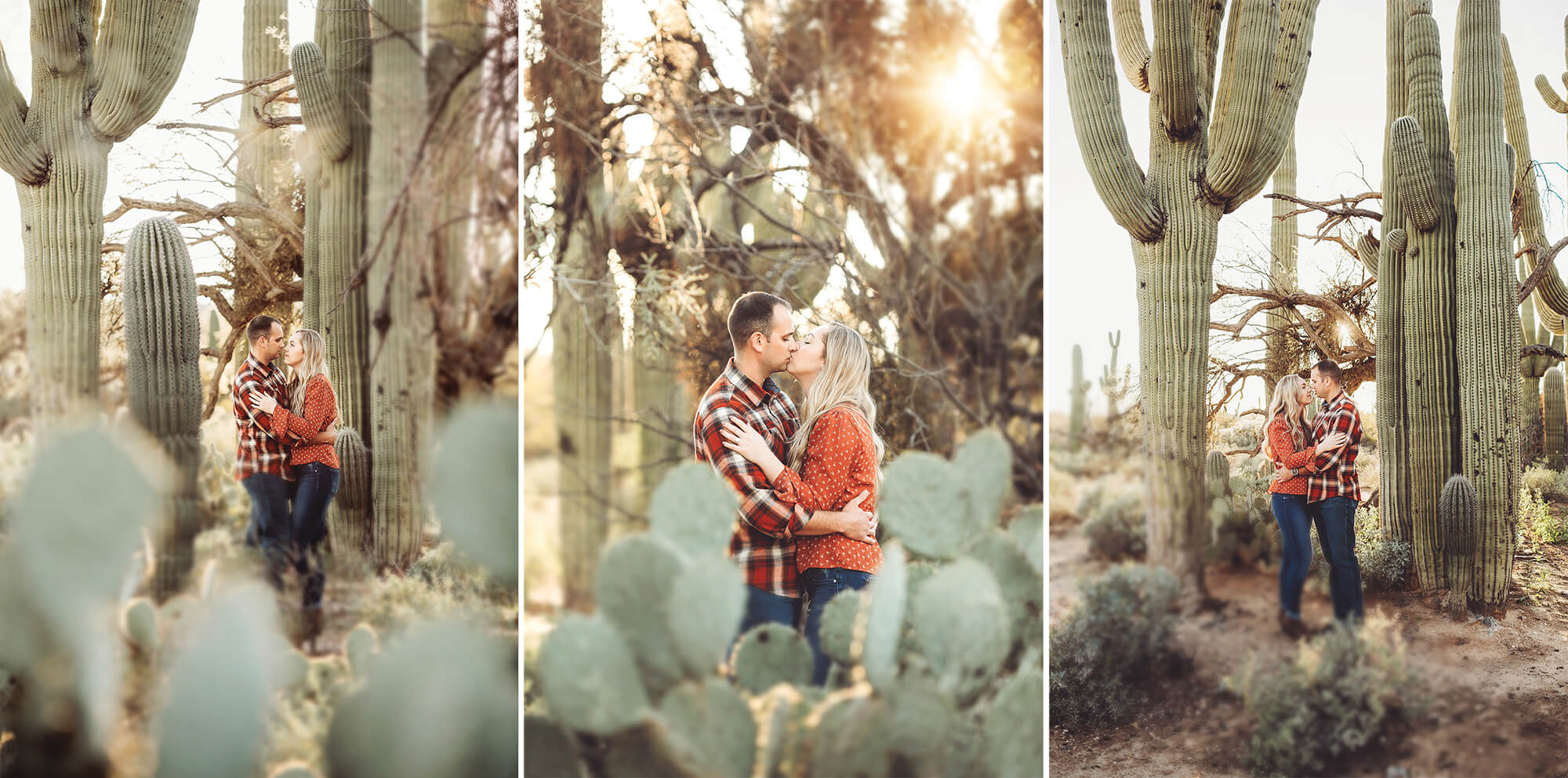 Surrounded by giant saguaros, the Freeman's enjoy each other under Tucson's warm spring sun