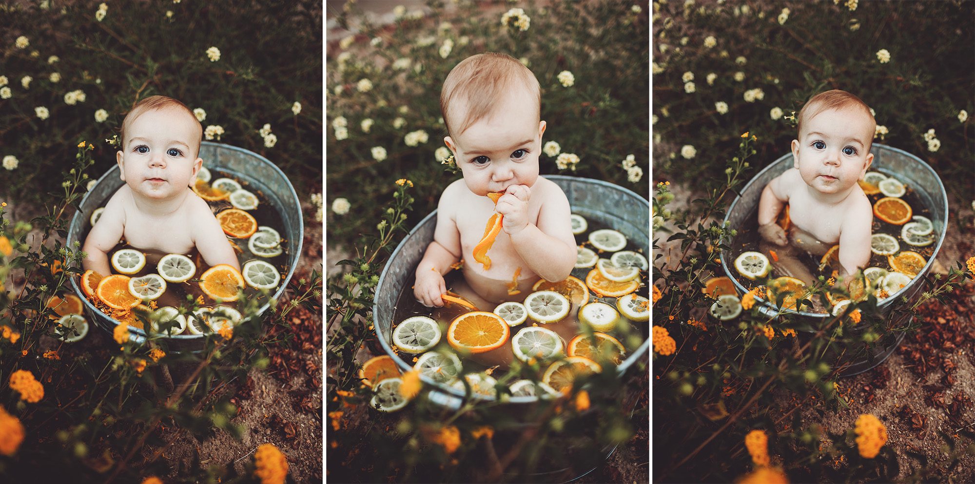 The flowers were fun and the fruit was tasty for Felix