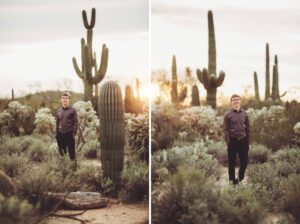 Sunsets and saguaros at Sabino Canyon