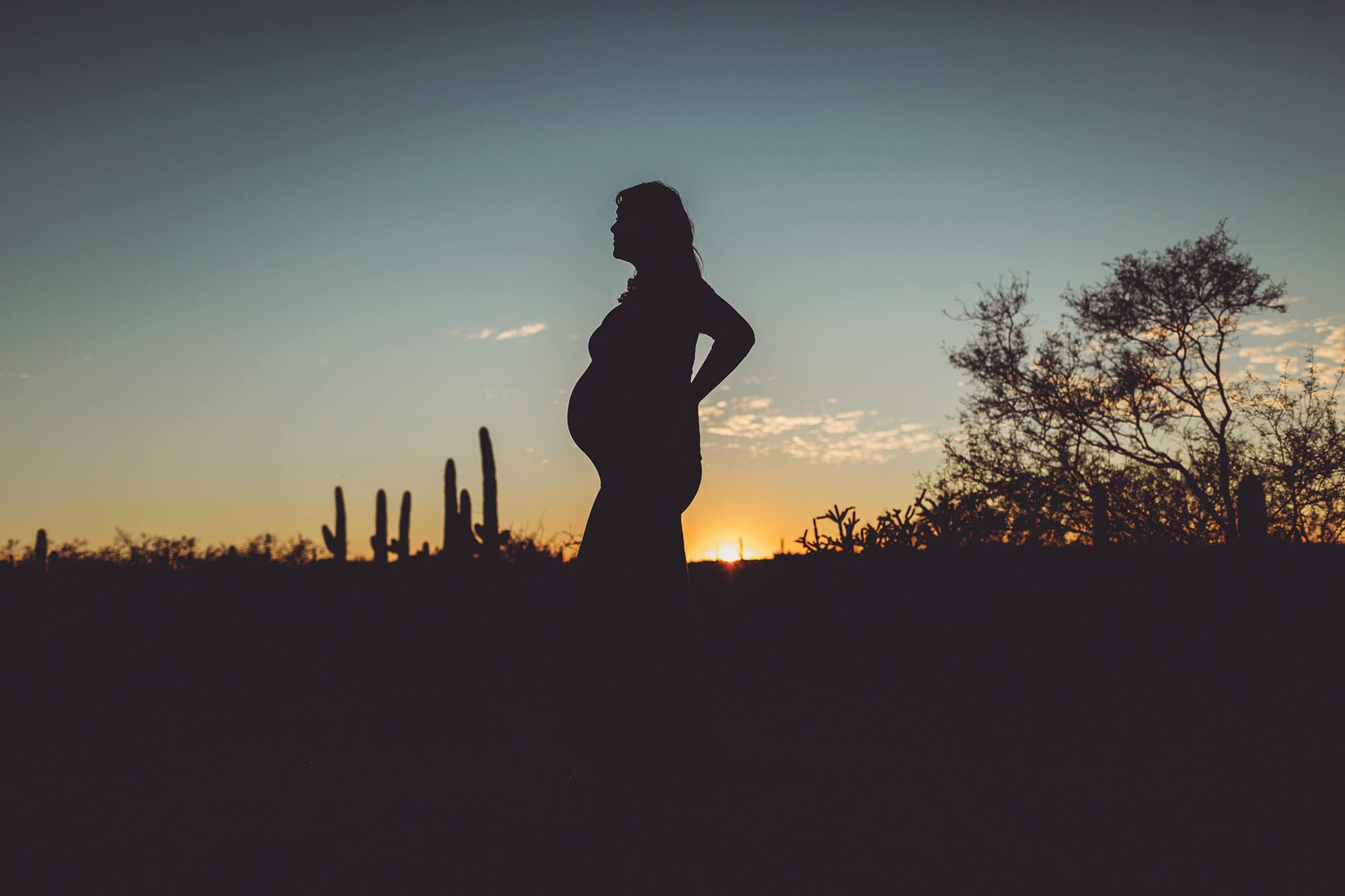 Alicia's silhouette, just as the sun was setting on the Tucson horizon.