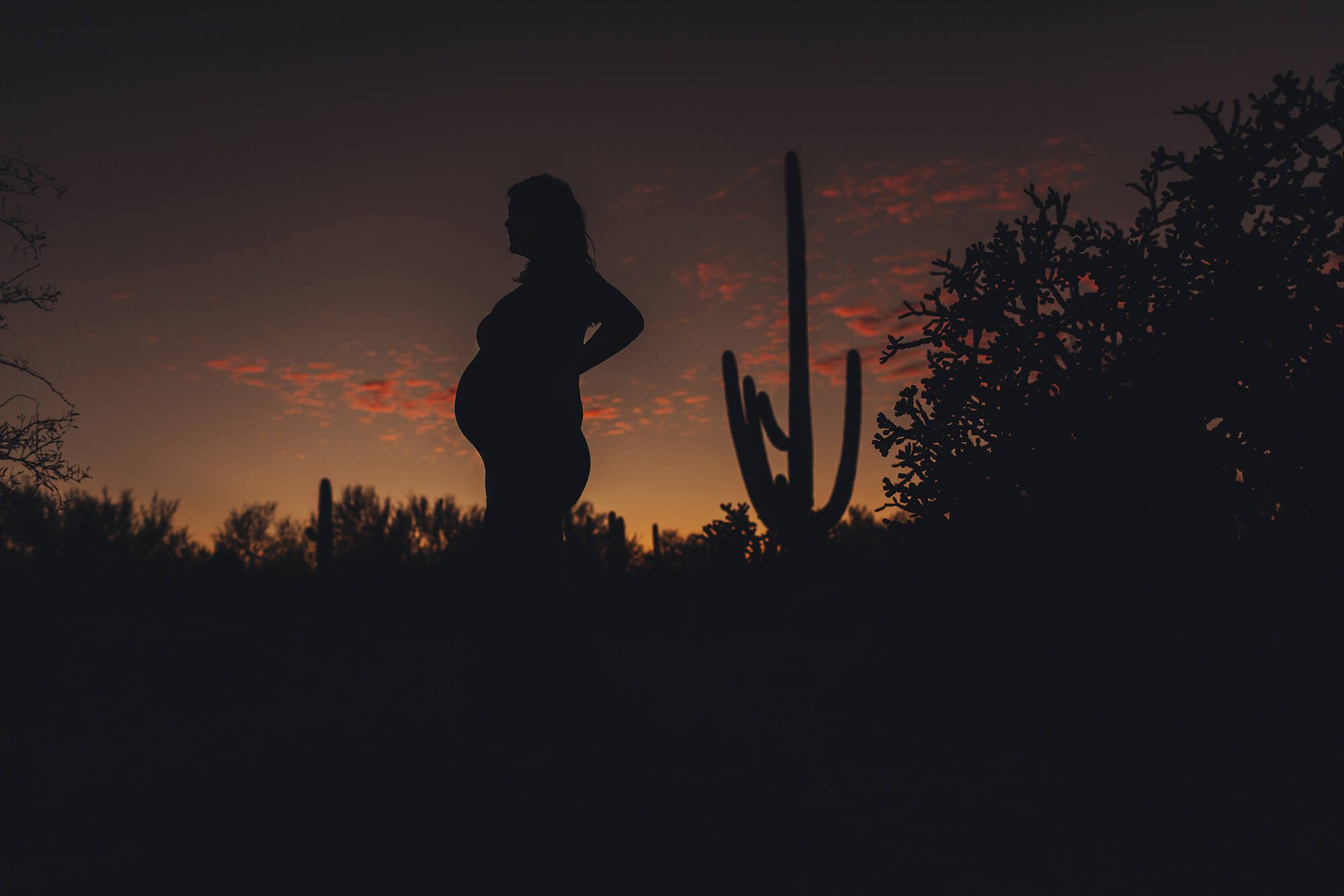 Alicia silhouetted by a magical Tucson sunset.