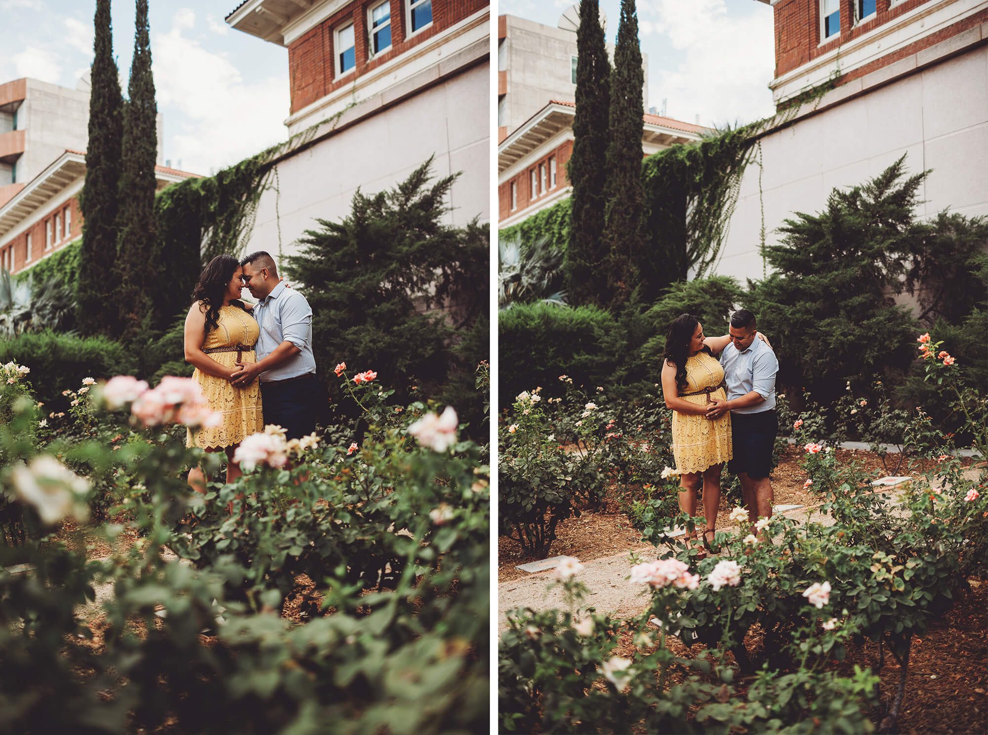 The rose garden at U of A, a beautiful location for a baby announcement session.