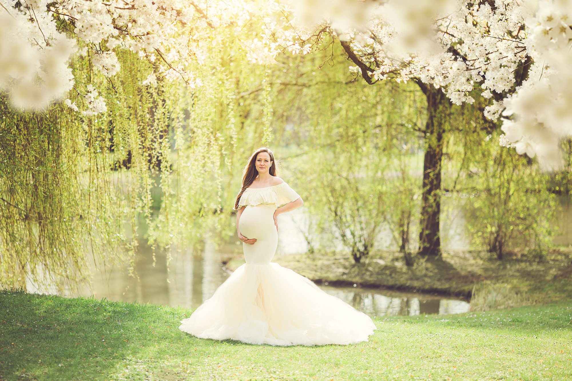 Spring blooms and a weeping willow creates a magical ambience for Tabitha's spring maternity session.
