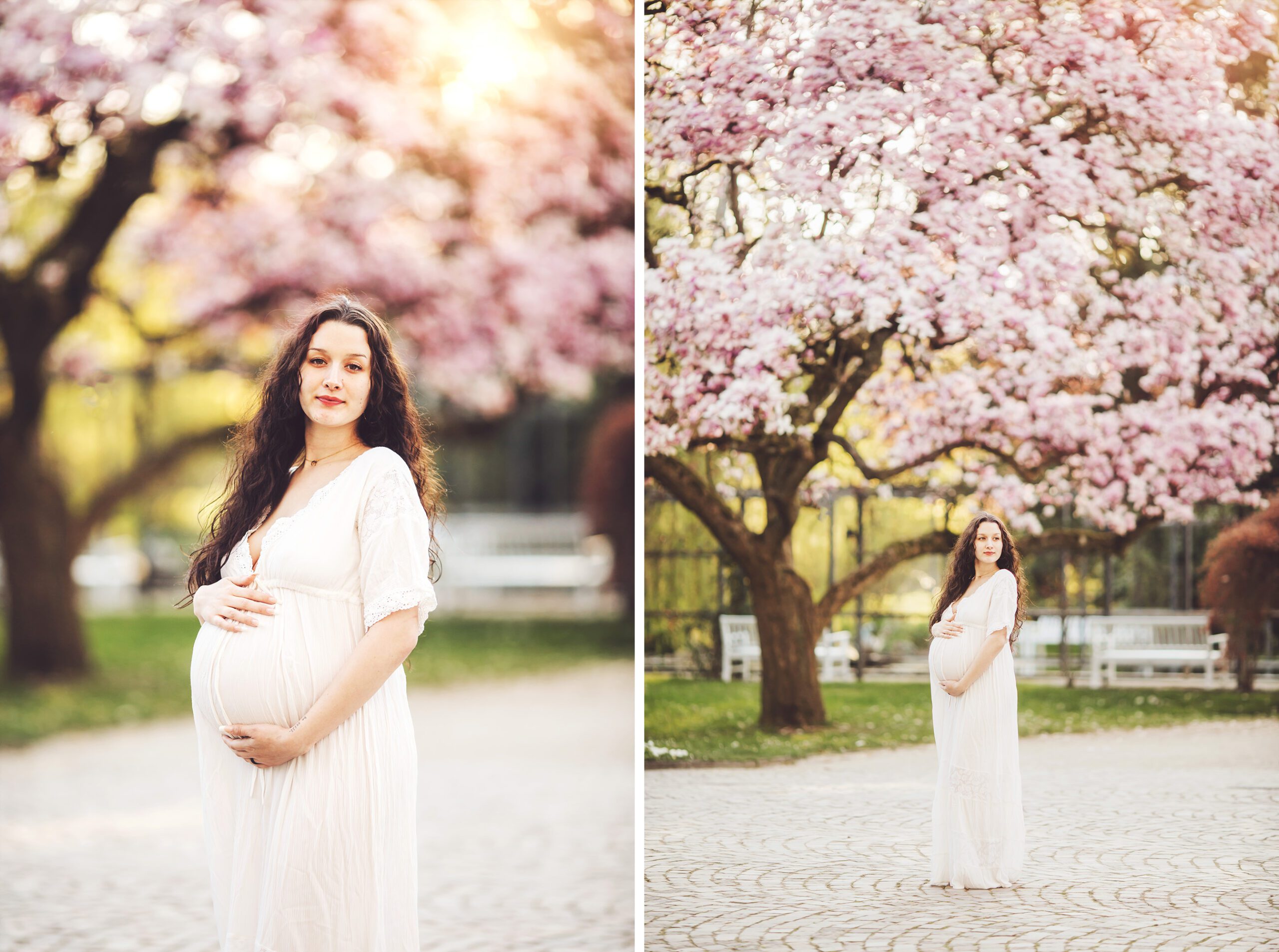 What is spring without a pink tree? This pink tree covered in blossoms was spectacular.