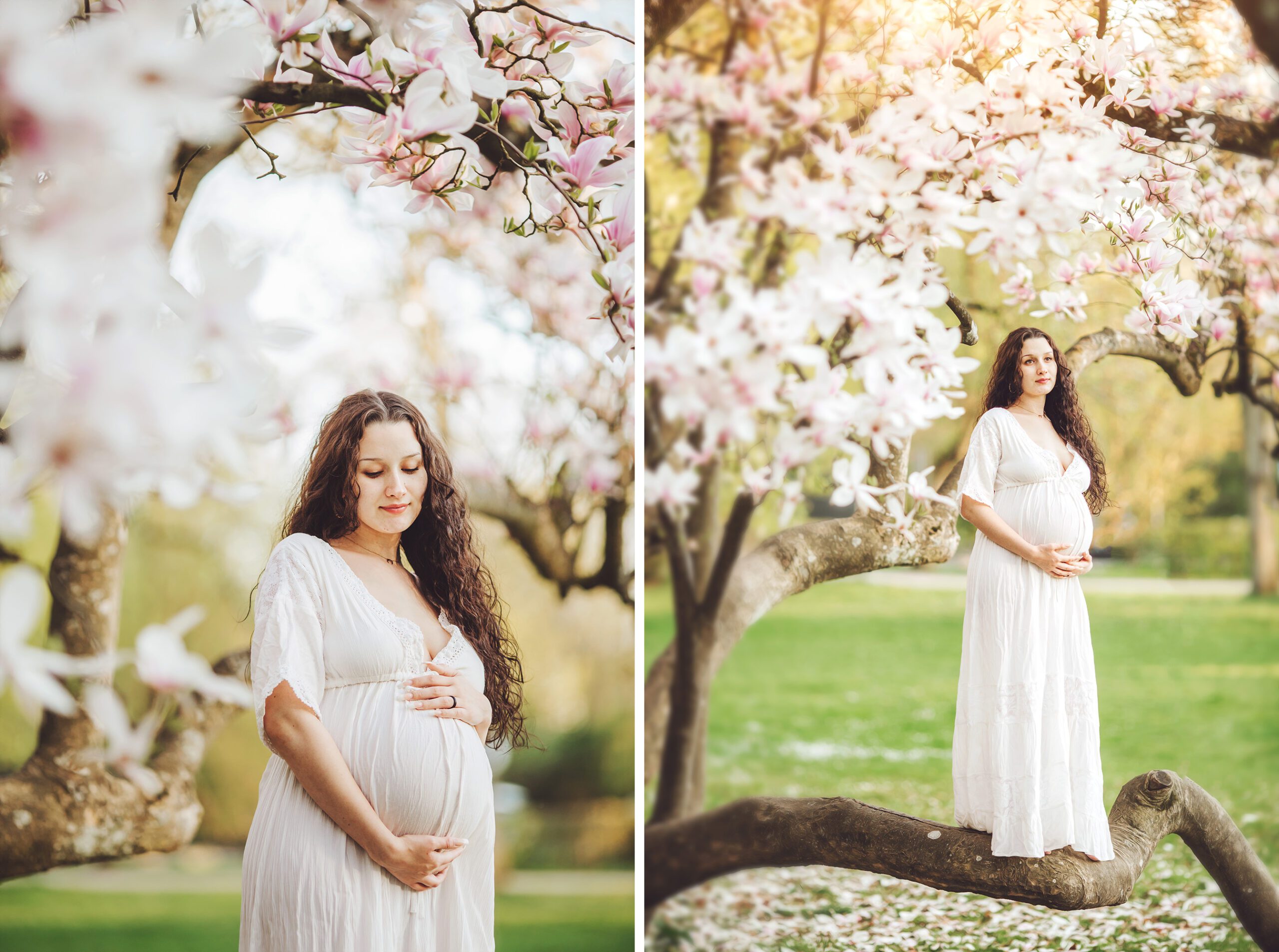 A magical spring tree for a magical maternity session.